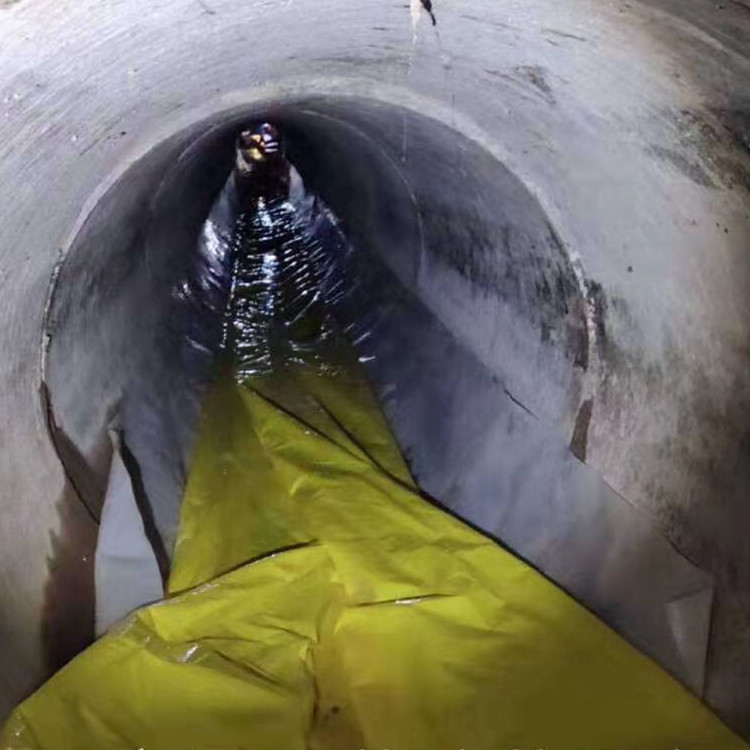 兴国管道光固化修复